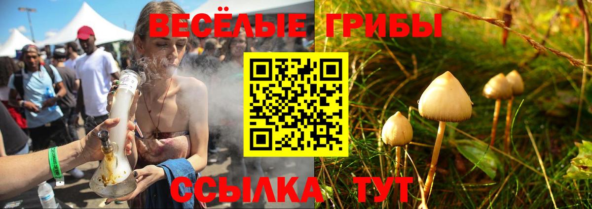 Дивногорск  Псилоцибиновые грибы MAGIC MUSHROOMS  Вход с VPN 